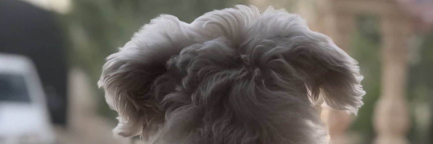 آسمانِ ابري banner