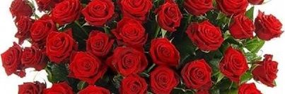 man69961's profile banner image