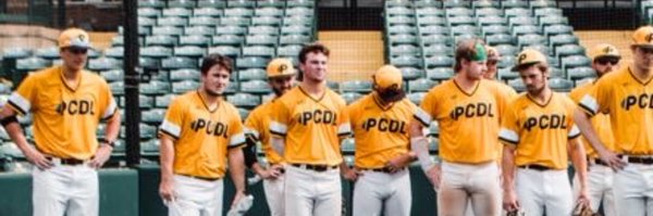 PCDL_bsb Profile Banner