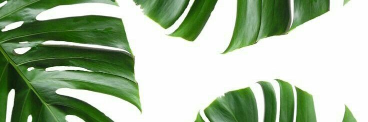 drewian's profile banner image