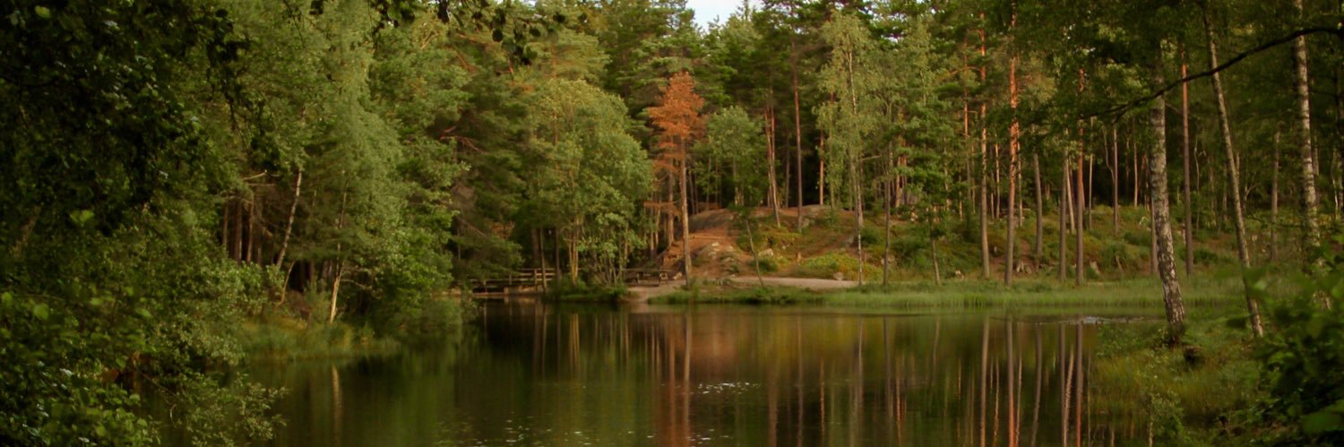 gressum's profile banner image