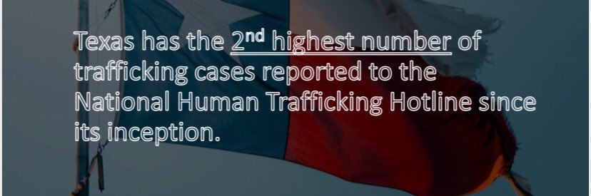 Texas Human Trafficking Coordinating Council banner