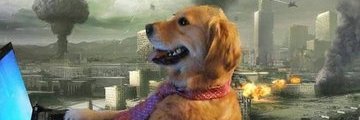 Harry banner