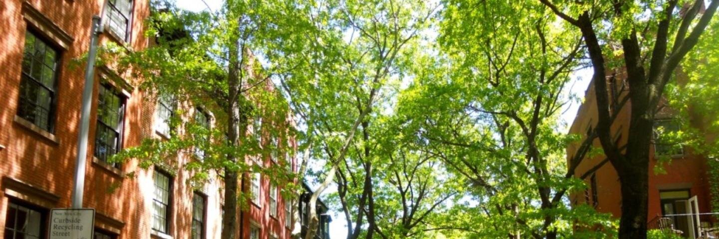 aaronreinitz's profile banner image