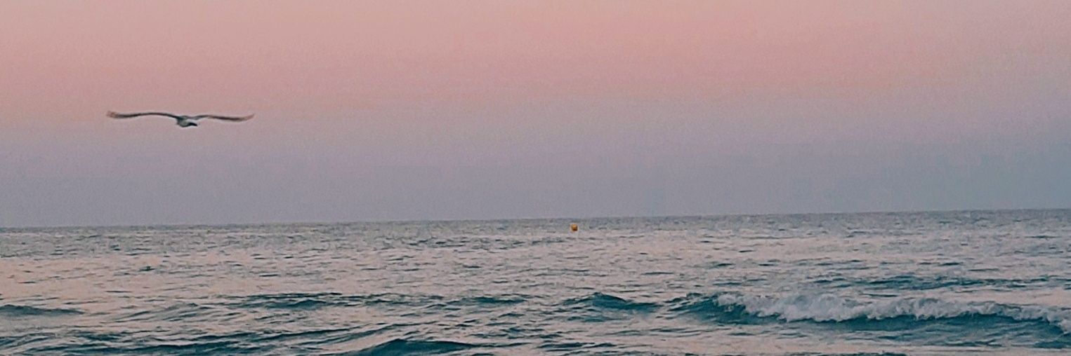 carlapm27's profile banner image
