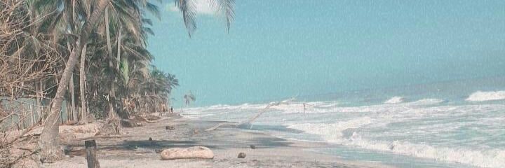 dulceecoco_'s profile banner image