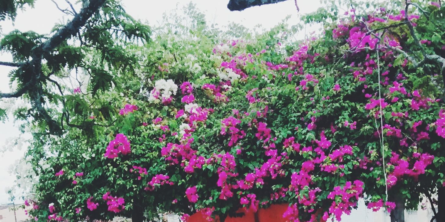 karllybeth's profile banner image
