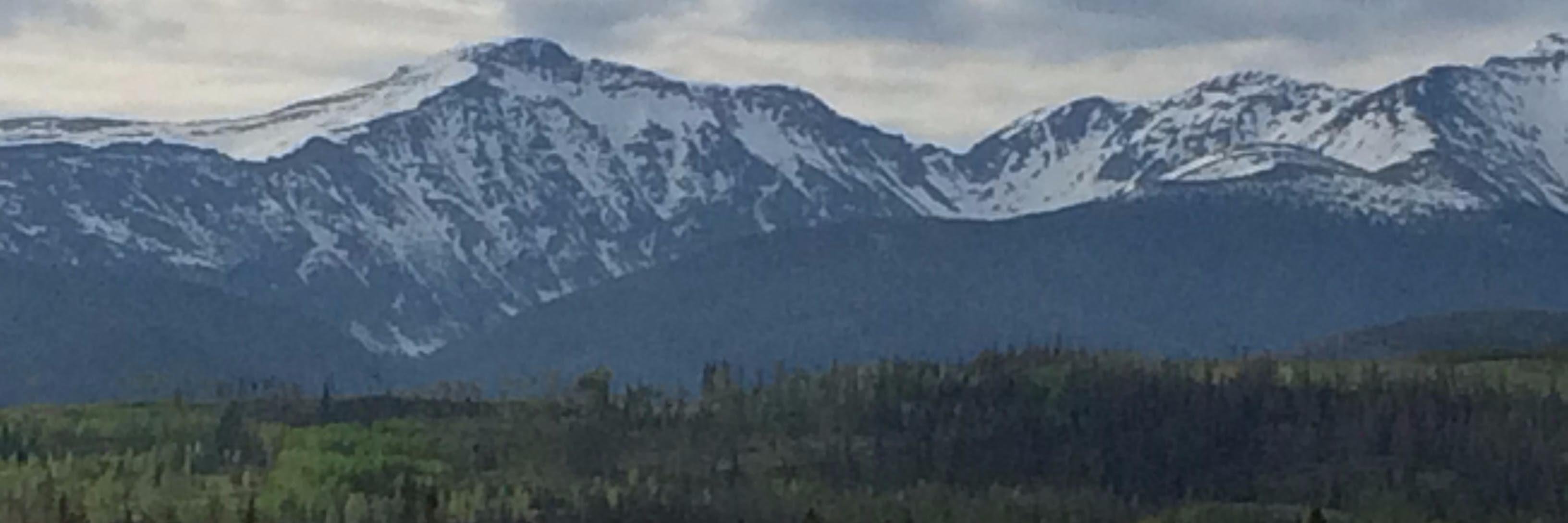 LynnBurrowsWP's profile banner image