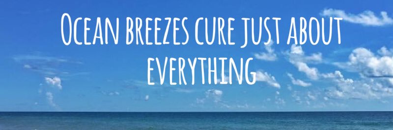 The Desert Beach Bum 🧡🍊Karen Lee Bertiger 🌴🇺🇸 banner