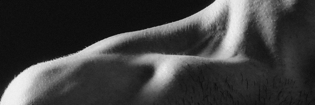 🌼 нᴇтюльпᴀн 🌼 banner