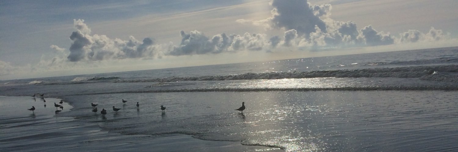 Stacey Cameron banner