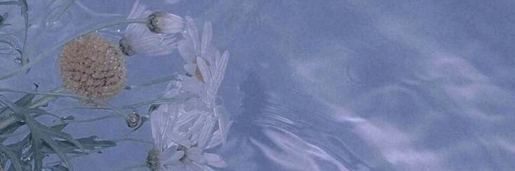 aimas_'s profile banner image