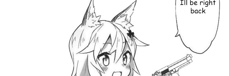 Why Not's banner