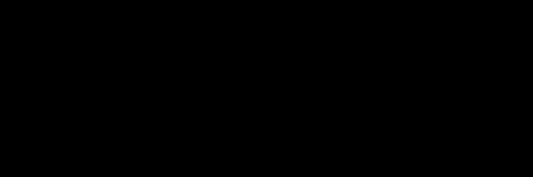 lexy0304 Profile Banner
