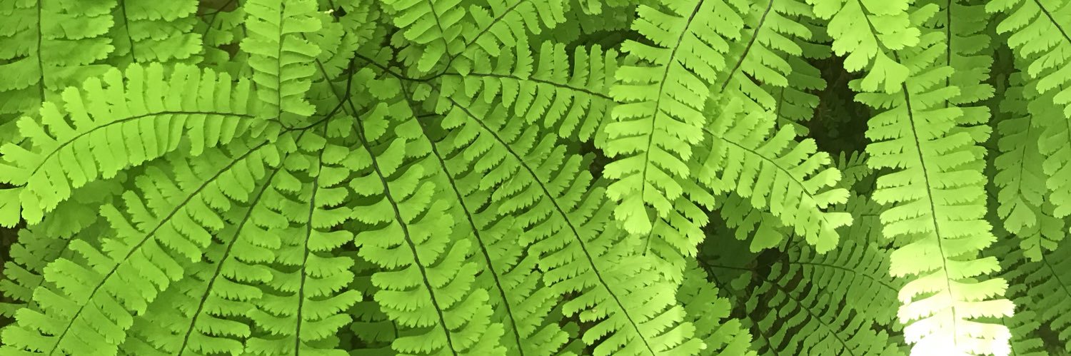 ShelbyTalent's profile banner image