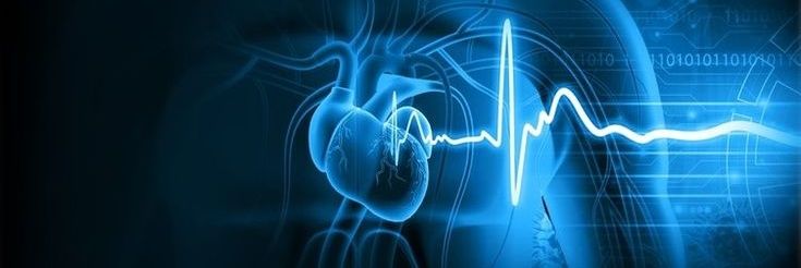 z☆el pusink skripsweet banner