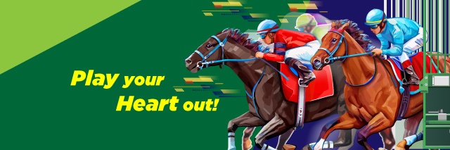 betindiaraces's profile banner image