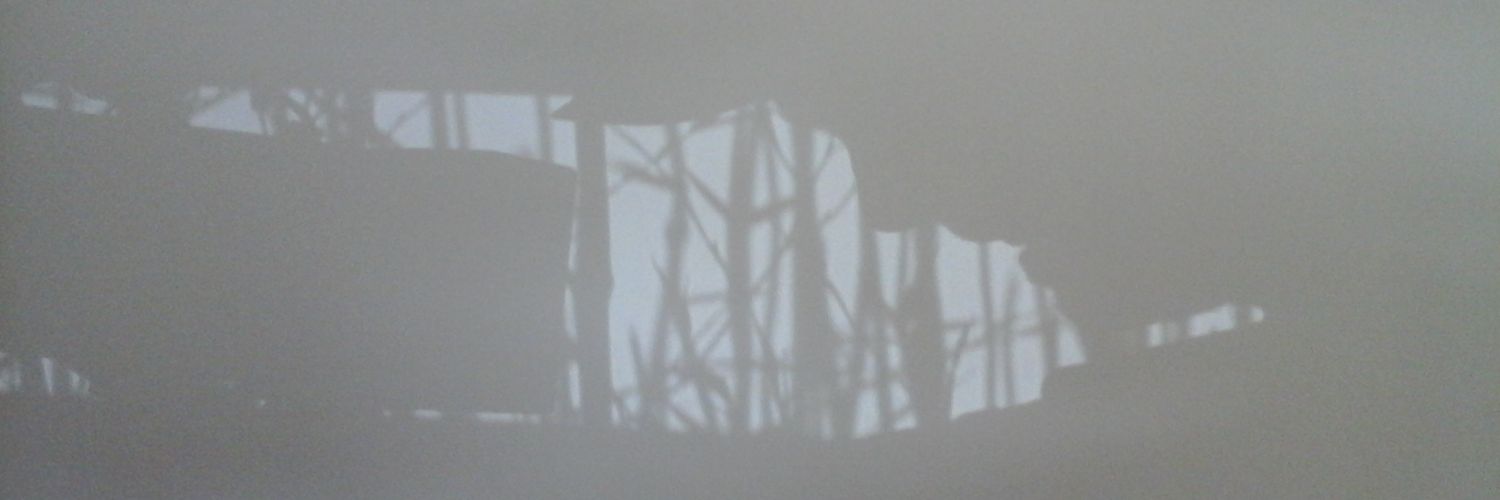 AleGiles's profile banner image