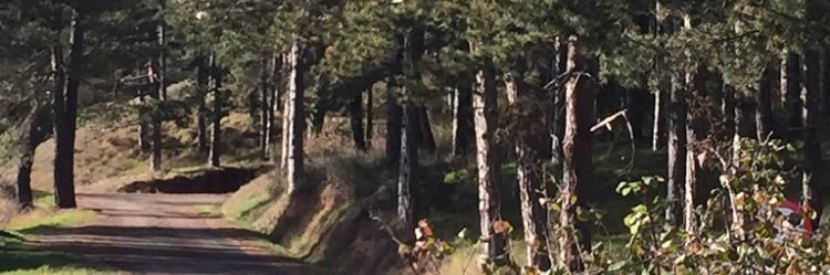 Alvaro Ellakuria ÆD banner