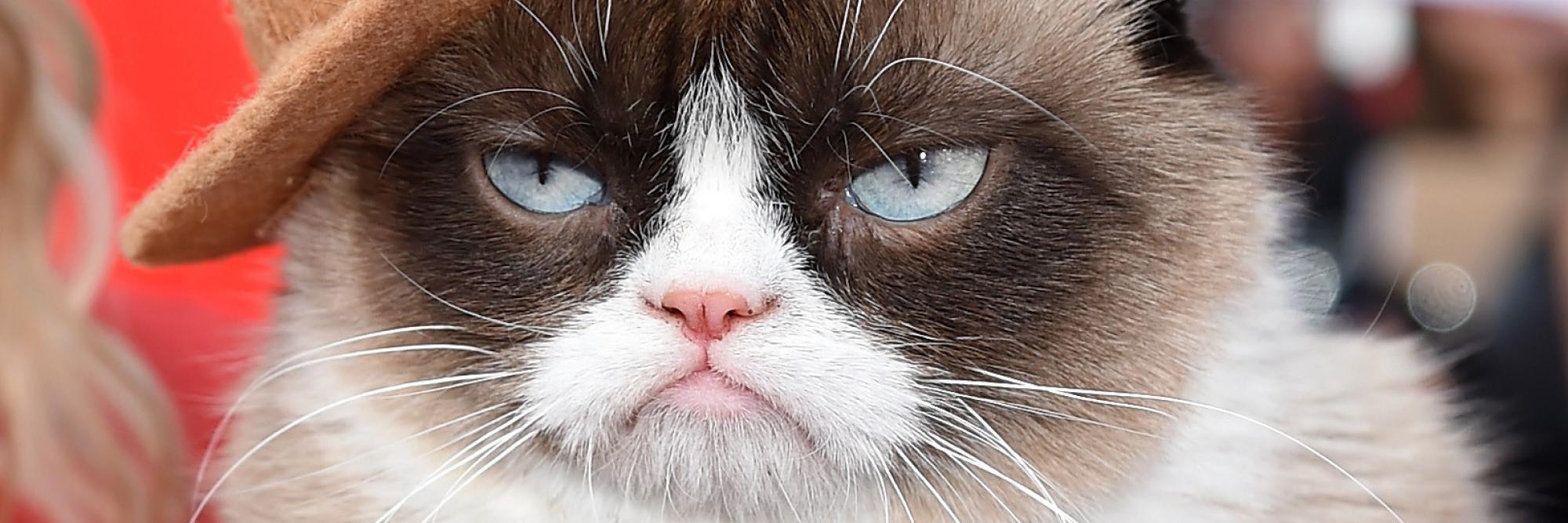 TVtrashos's profile banner image