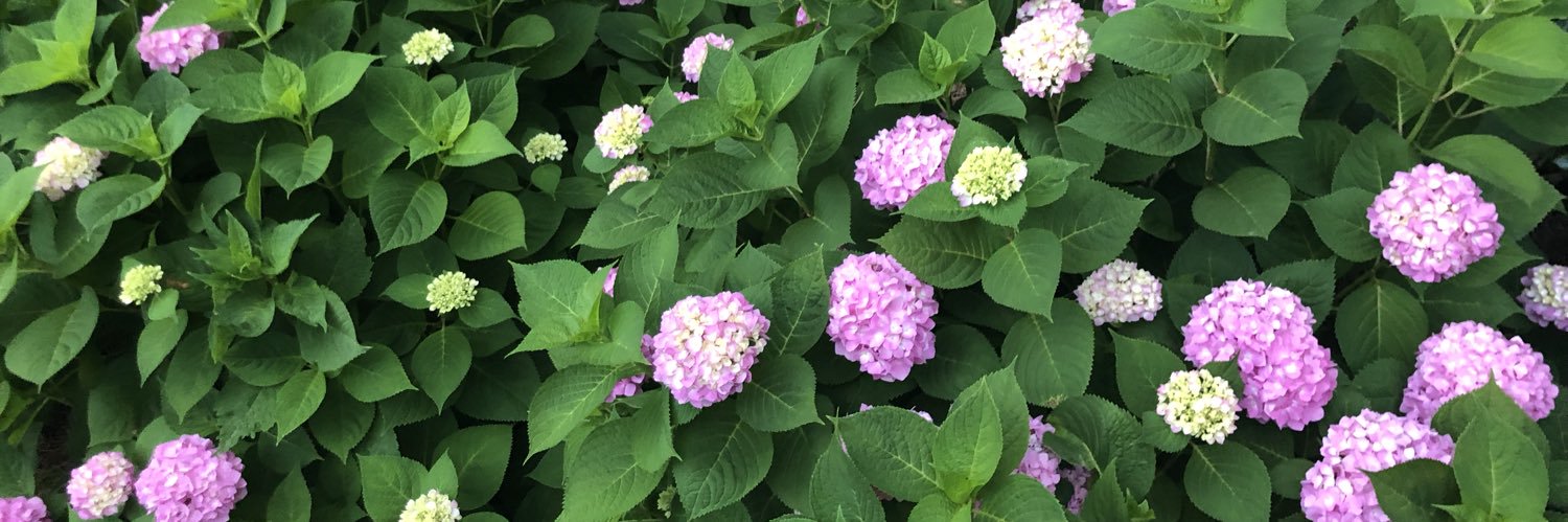 kimberleelemons's profile banner image