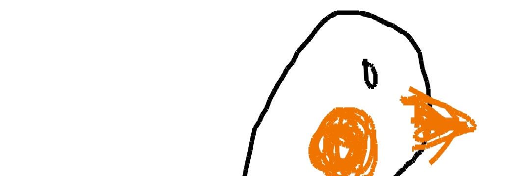 birdphys's profile banner image