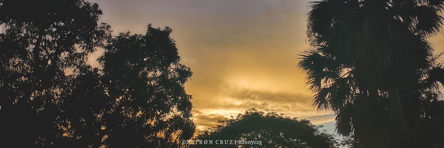 Ronnyczg's profile banner image