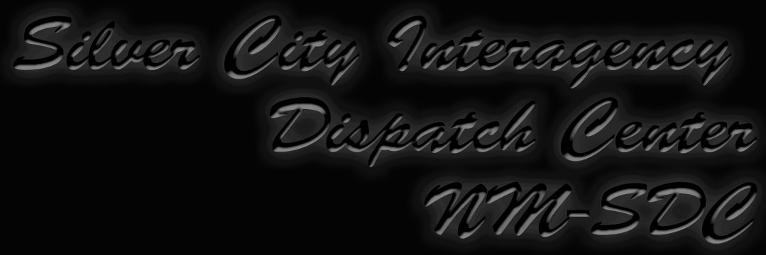 Silver City Dispatch banner
