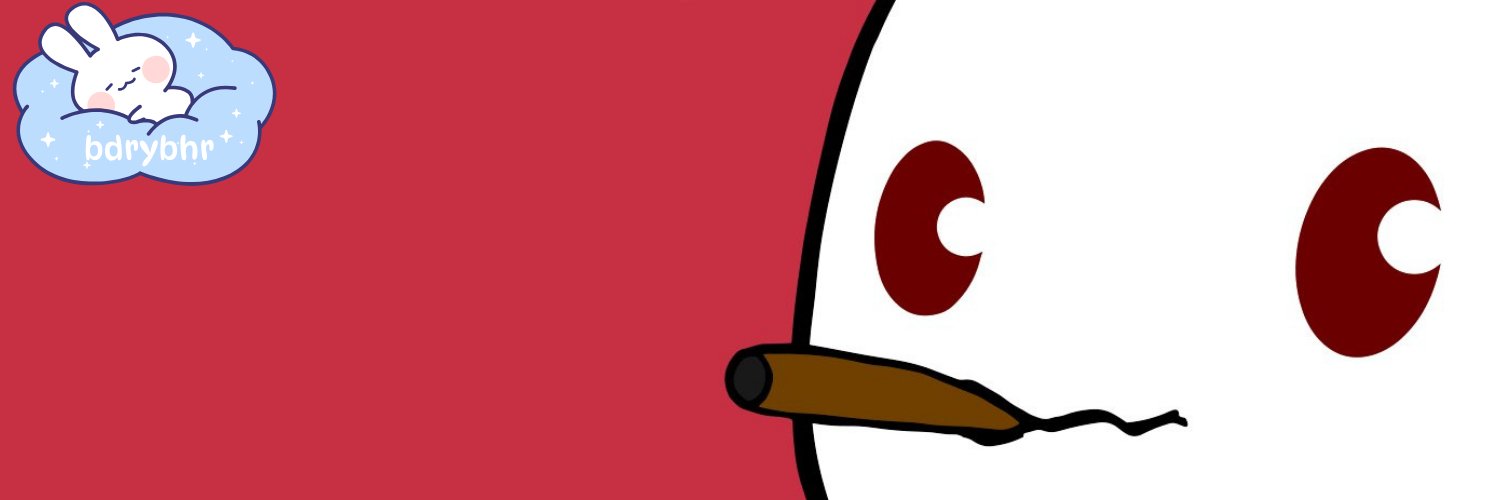 bdrybhr's profile banner image