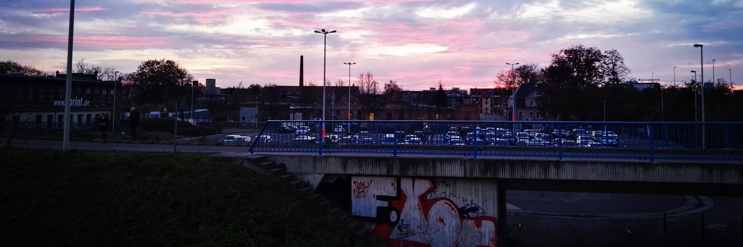 Ellen Griswold banner