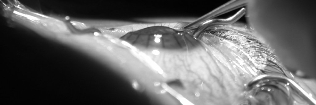MahmoodShowail's profile banner image
