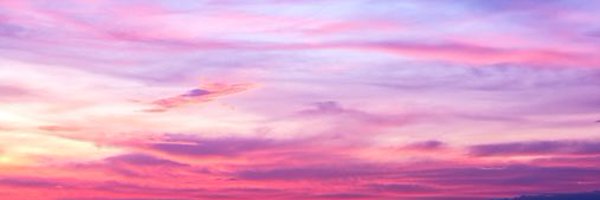 letitiawright Profile Banner