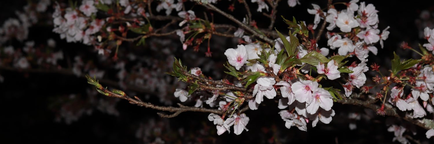 ts_1122's profile banner image