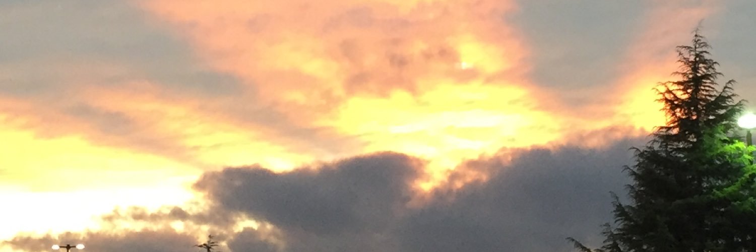 MustangSally256's profile banner image