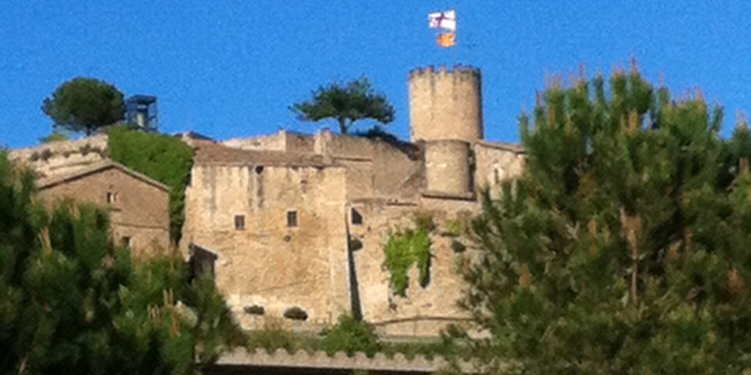 MERCÈ CARTIÉ banner