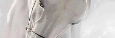 Wadh_122's profile banner image