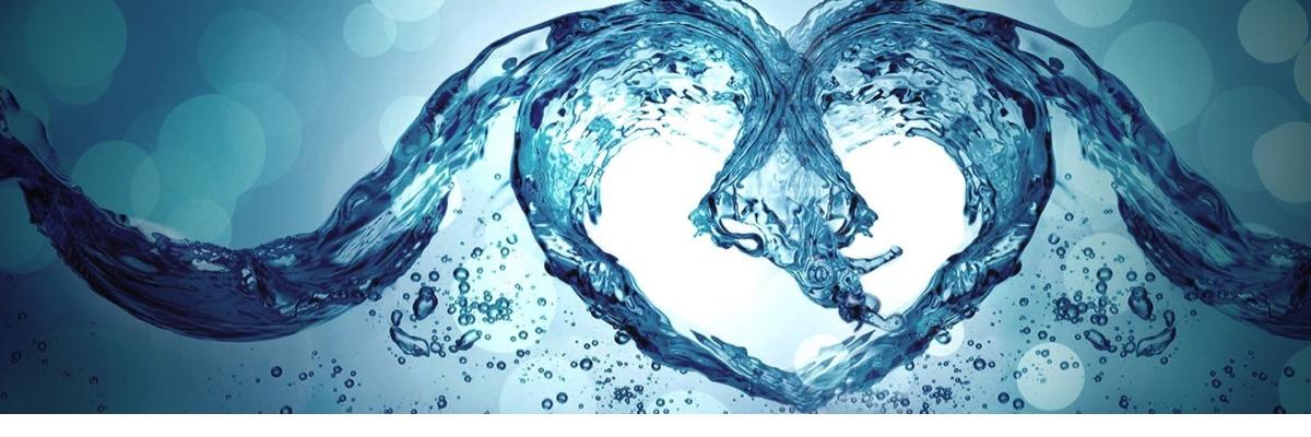 FoxSwim's profile banner image