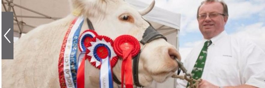 Martin Ryan 🇮🇪🇪🇺🇺🇦🍷 banner