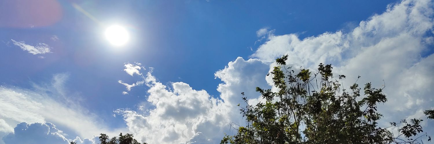 RJB245's profile banner image