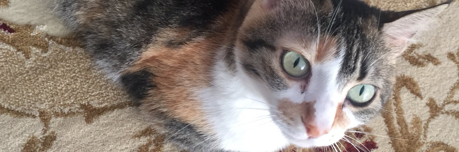 ddtoxx's profile banner image