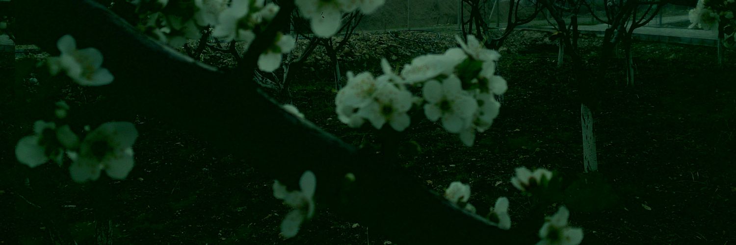 resulmutlu4's profile banner image