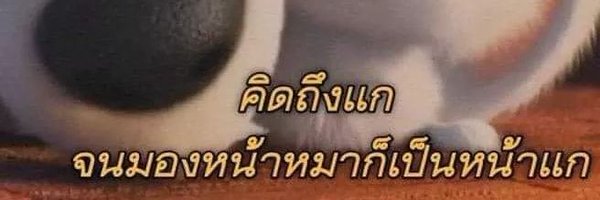 แลกรูปแฟน แลกรูปเมีย ได้นะคับ Profile Banner