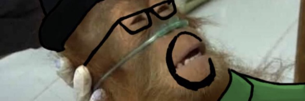 boishardy jules banner