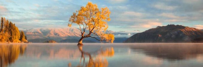 علي الشمري banner