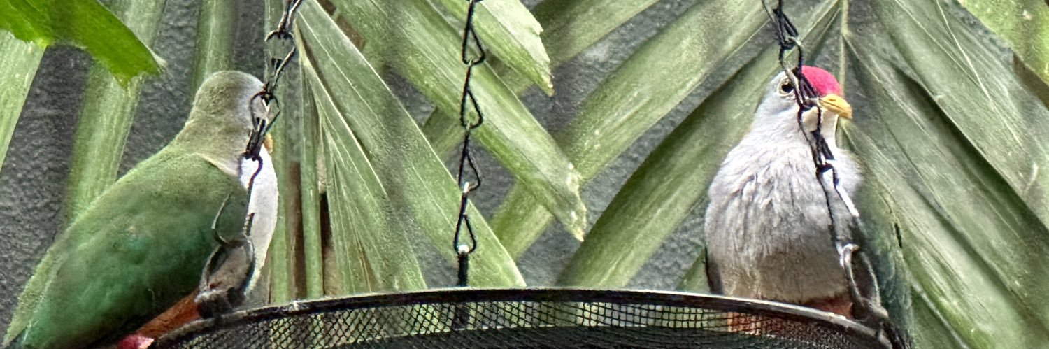Austin Brooks banner