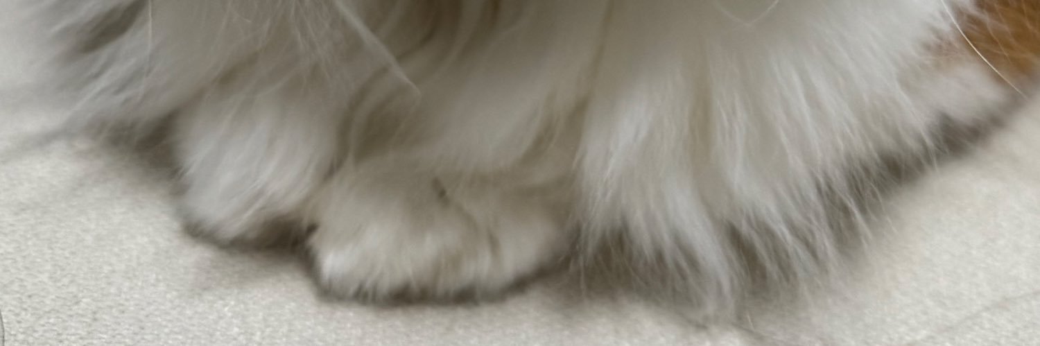 nekoafm's profile banner image