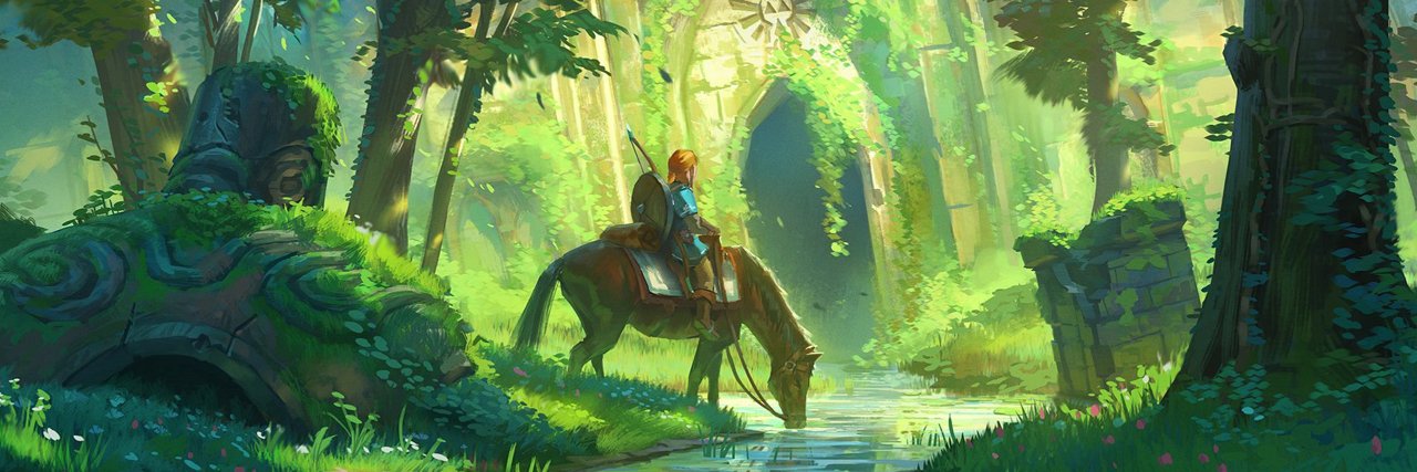WiseBeard's profile banner image
