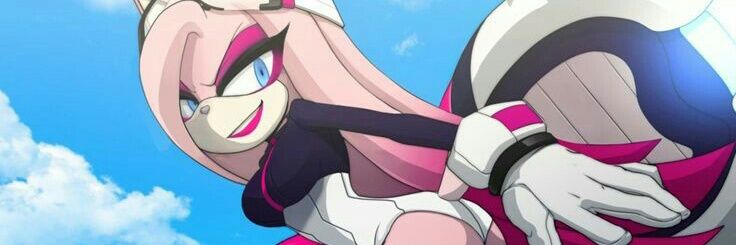 LadyTheHedgehog's profile banner image