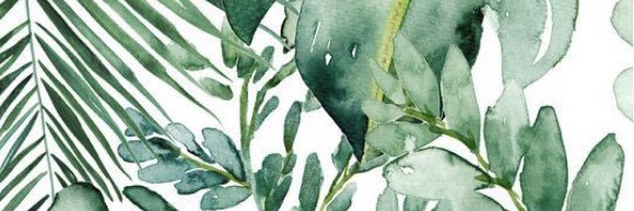 cascianoc1's profile banner image