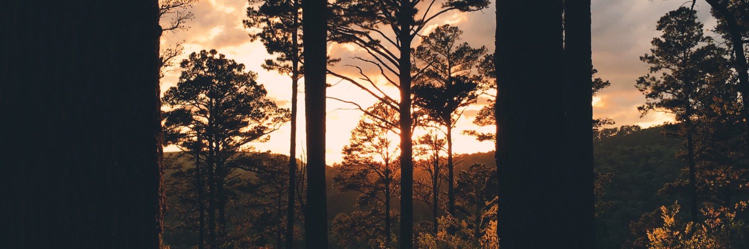 brianspessard's profile banner image